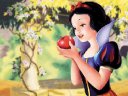 Snow White -  