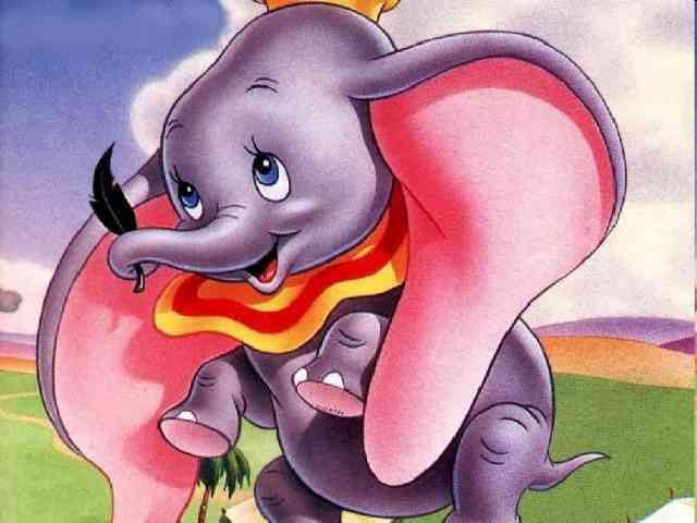 Dumbo #335