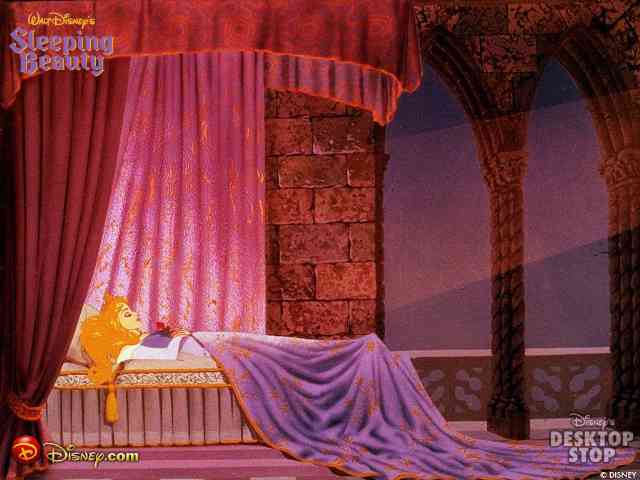 Disney Sleeping Beauty #513}