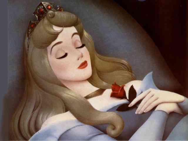 Disney Sleeping Beauty #516}